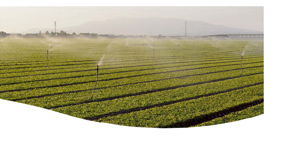 Drip irrigation systems in trivandrum